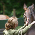 A woman is petting the back of a horse.